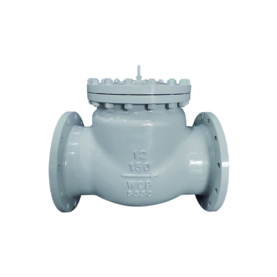 Check Valve