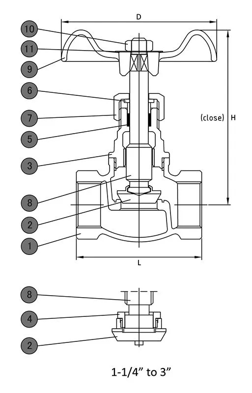 Bronze Globe Valve, MSS SP-80, BS 5154, 2-1/2 Inch, CL100, FNPT