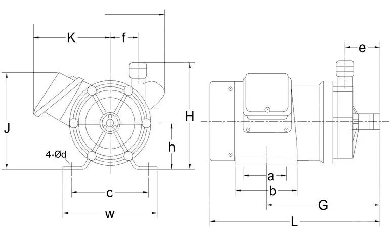 250W Magnetic Drive Pump, 50 or 60 Hz, Max 8.6M/9M Head