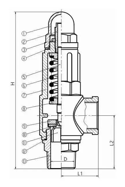 Adjustable Safety Valve, ASTM B62 C83600, DN25, 1 Inch, PN10