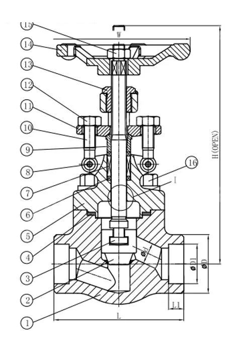 ASTM A182 F304 Globe Valve, API 602, 1 Inch, 800 LB, SW