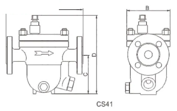 ASTM A351 CF8 Free Float Steam Trap, EN 26704, DN25, PN16