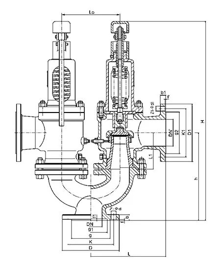 Duplex Spring Safety Valve, API 526, ASTM A216 WCB, DN50, RF