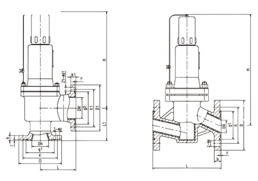 Fluorine Lined Safety Valve, API 526, A216 WCB, DN50 x DN80
