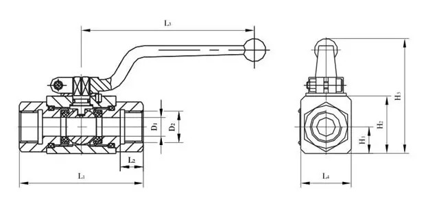 Hydraulic Ball Valve, ASME B16.34, SS 316L, DN10, PN500, BSP
