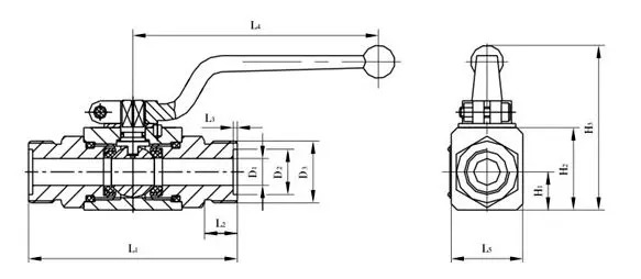 SS 304 Hydraulic Ball Valve, ASME B16.34, DN20, Male Threaded