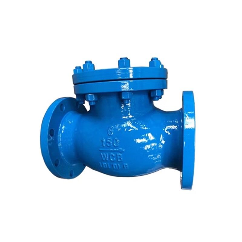 6 Inch Swing Check Valve, API 6D, ASTM A216 WCB, 150 LB, BB