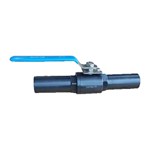 2-piece Ball Valve with Nipples, ASTM A105, 1 Inch, 2000 PSI