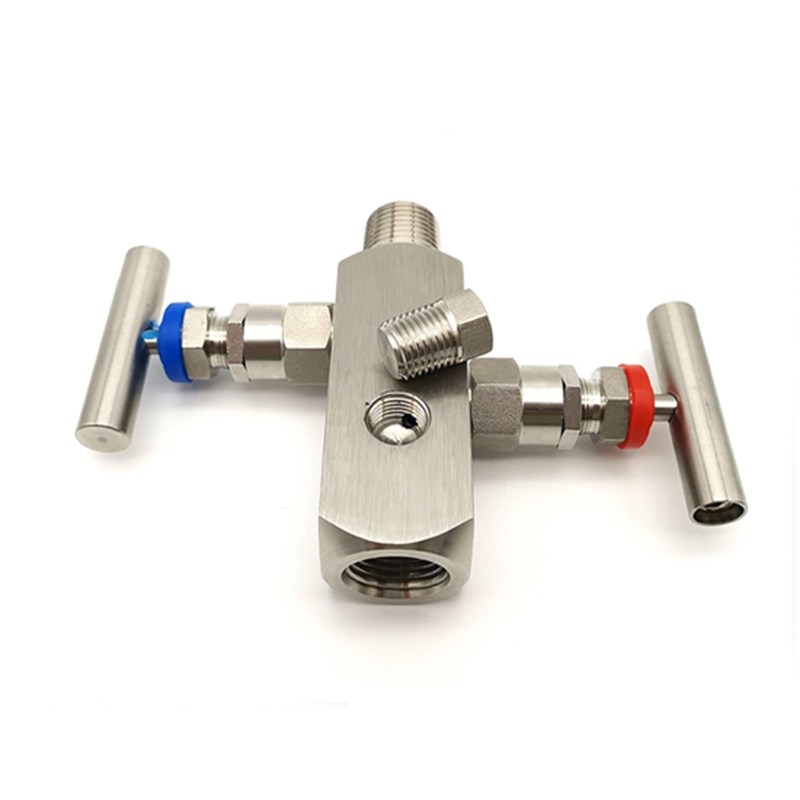 2 Way Manifold Valve, SS 316L, 1/2 IN, DN15, 6000 PSI, FNPT