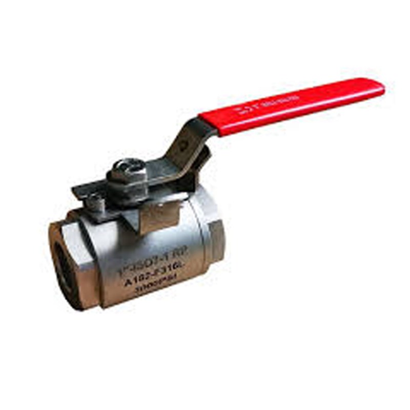 3000 PSI Ball Valve, ASME B16.34, A182 F316L, 1 IN, 2 PC, RP