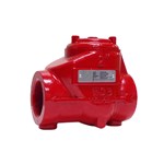 5000 PSI Oil Field Check Valve, ASTM A216 WCB, 2 IN, NPT, FP
