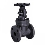 Air Drain Valve, API 602, ASTM A105N, 1 IN, CL150, RF * FNPT Ends