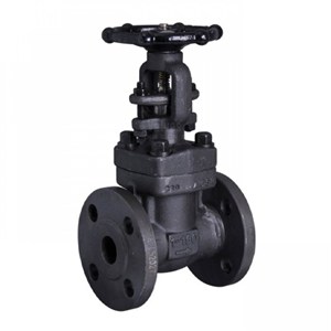 Air Drain Valve, API 602, ASTM A105N, 1 IN, CL150, RF * FNPT Ends