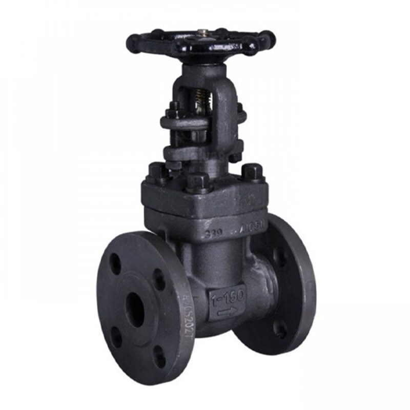 Air Drain Valve, API 602, ASTM A105N, 1 IN, CL150, RF * FNPT Ends