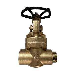 Aluminium Bronze Gate Valve, API 602, C95800, 2-1/2 IN, CL800