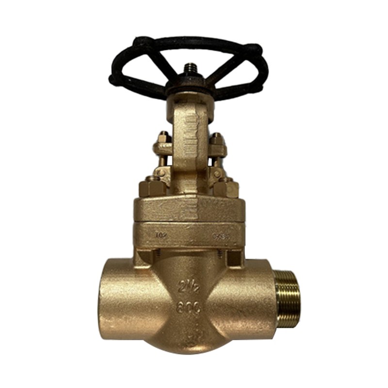 Aluminium Bronze Gate Valve, API 602, C95800, 2-1/2 IN, CL800