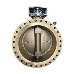 Aluminum Bronze Butterfly Valve, C95800, 32 Inch, CL150, Lug
