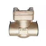 Aluminum Bronze Check Valve, API 602, C95800, 2 Inch, CL800