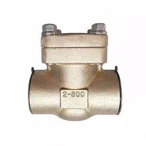 Aluminum Bronze Check Valve, API 602, C95800, 2 Inch, CL800