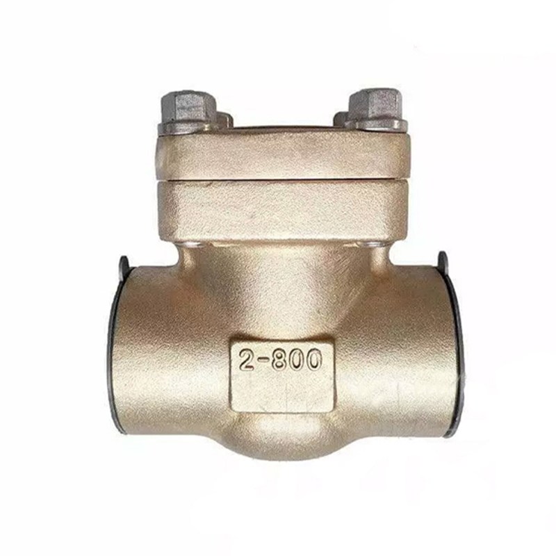 Aluminum Bronze Check Valve, API 602, C95800, 2 Inch, CL800