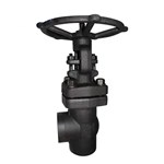 Angle Globe Valve, API 602, ASTM A105N, 1 Inch, 800 LB, SW