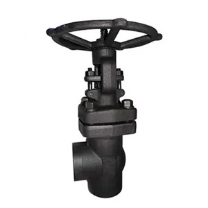 Angle Globe Valve, API 602, ASTM A105N, 1 Inch, 800 LB, SW