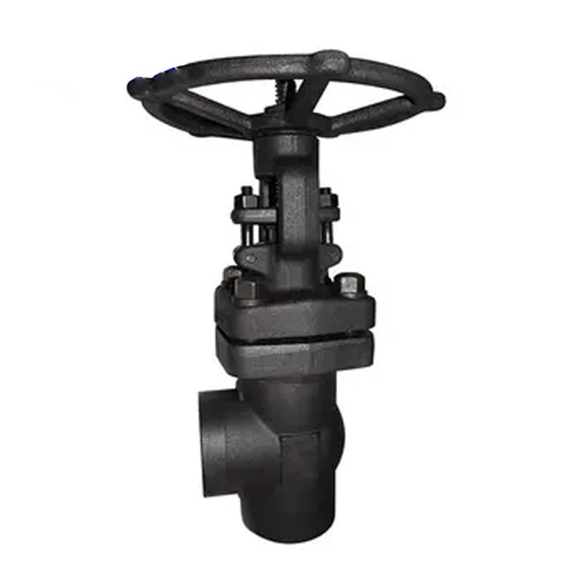 Angle Globe Valve, API 602, ASTM A105N, 1 Inch, 800 LB, SW
