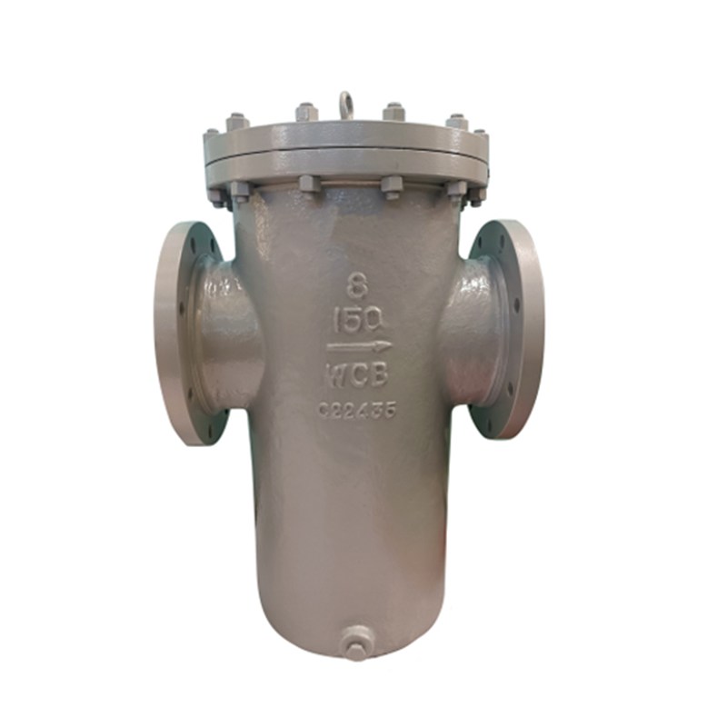 ANSI B16.34 Basket Strainer, ASTM A216 WCB, 8 IN, CL150, RF