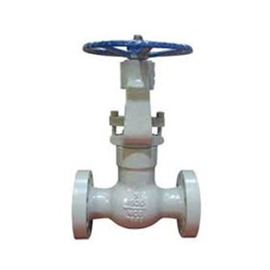 API 602 Bellows Sealed Gate Valve, ASTM A105N, 3/4 IN, CL300