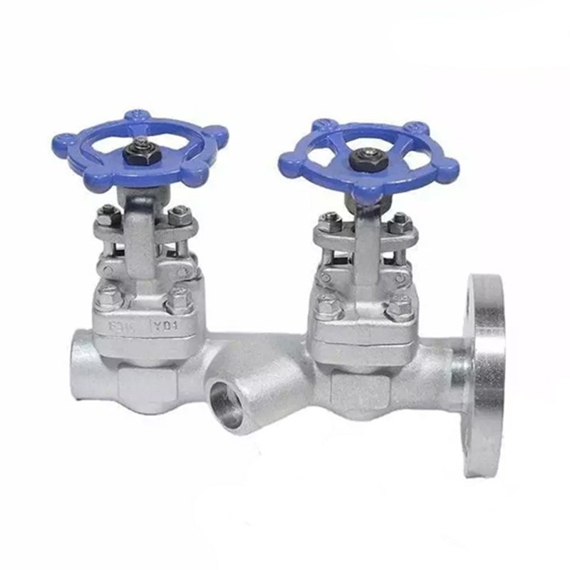 API 602 Double Gate Valve, A182 F316, 3/4 IN, CL150, RF*FNPT