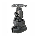 API 602 Gate Valve, ASTM A105N, 3/4 IN, CL800, Welded Bonnet
