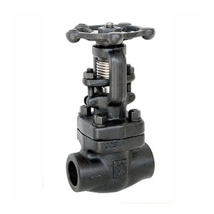 API 602 Gate Valve, ASTM A105N, 3/4 IN, CL800, Welded Bonnet