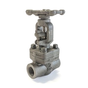 API 602 Gate Valves, ASTM A105N, 3/4 IN, CL800, SW * MNPT Ends