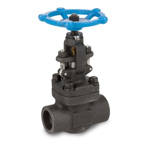 API 602 Gate Valves, ASTM A105N, Carbon Steel, 1 IN, CL800