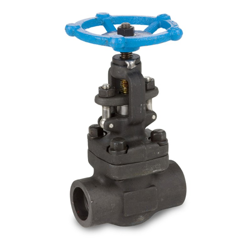 API 602 Gate Valves, ASTM A105N, Carbon Steel, 1 IN, CL800