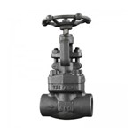 API 602 Globe Valve, ASTM A105N, 1 Inch, CL800, BB, FNPT