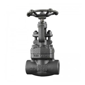 API 602 Globe Valve, ASTM A105N, 1 Inch, CL800, BB, FNPT