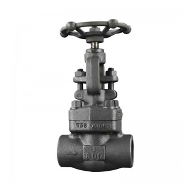 API 602 Globe Valve, ASTM A105N, 1 Inch, CL800, BB, FNPT