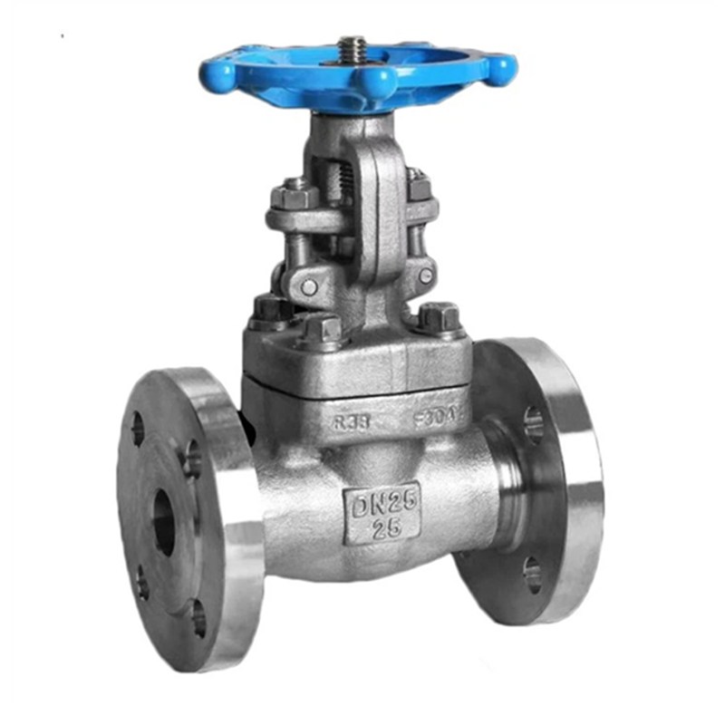 API 602 Globe Valves, ASTM A182 F316, 1/2 Inch, CL150 LB, RF
