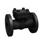 API 602 Lift Check Valve, ASTM A105N, 2 IN, CL300, DN50, RF