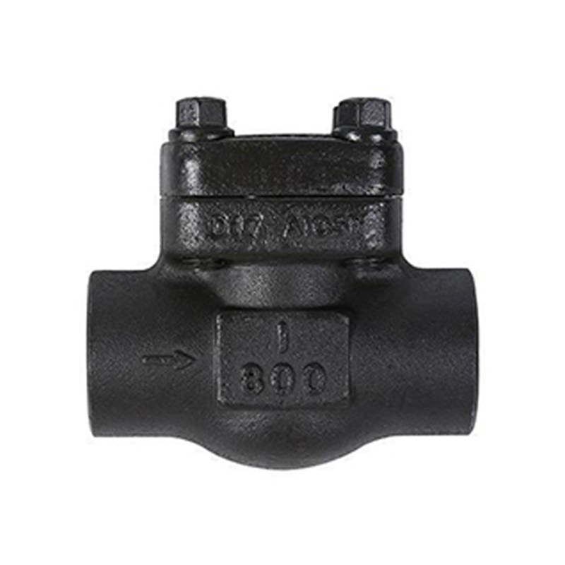 API 602 Piston Check Valve, A105N, 1 Inch, 800 LB, FNPT, BB