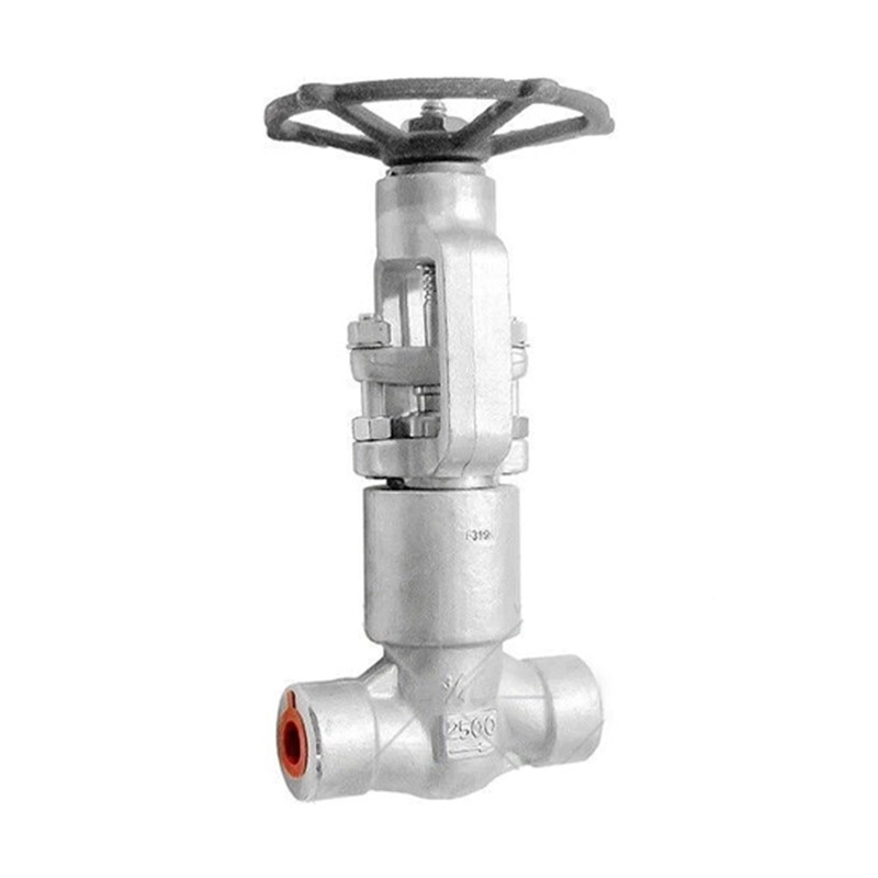 API 602 PSB Globe Valve, A182 F316L, 3/4 Inch, CL2500 LB, SW