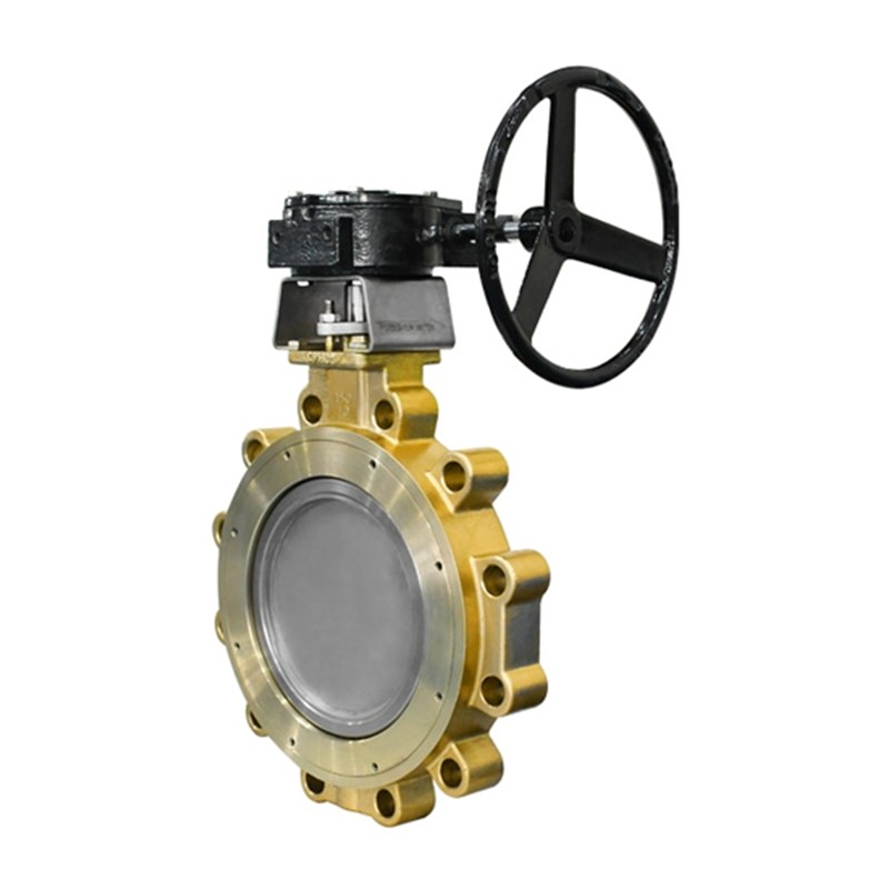 API 609 Category B Butterfly Valve, C95800, 6 IN, CL150, Lug