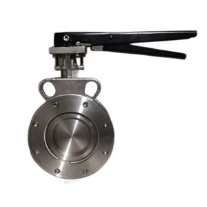 API 609 Category B Butterfly Valves, B148 C95800, 6 Inch, RF