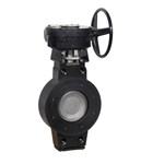 API 609 Wafer Butterfly Valve, ASTM A216 WCB, 4 Inch, CL300
