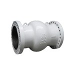ASME B16.34 Axial Check Valve, ASTM A216 WCB, 20 IN, 600 LB