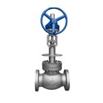 ASME B16.34 Cryogenic Globe Valve, A351 CF8, 8 Inch, 600 LB