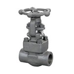 ASME B16.34 Gate Valve, API 602, A105N, 2 Inch, 1500 LB, SW