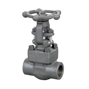 ASME B16.34 Gate Valve, API 602, A105N, 2 Inch, 1500 LB, SW