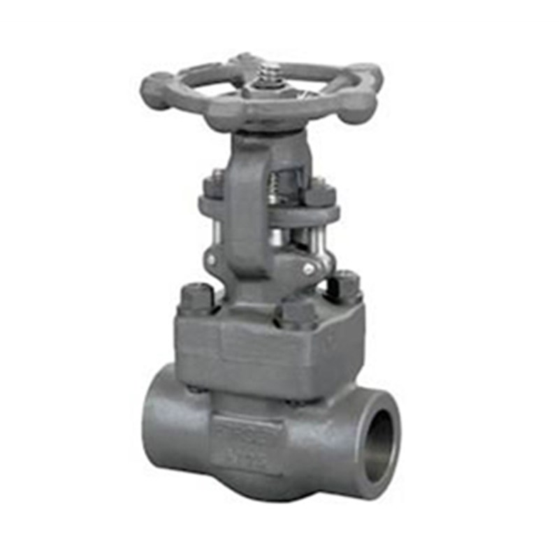ASME B16.34 Gate Valve, API 602, A105N, 2 Inch, 1500 LB, SW